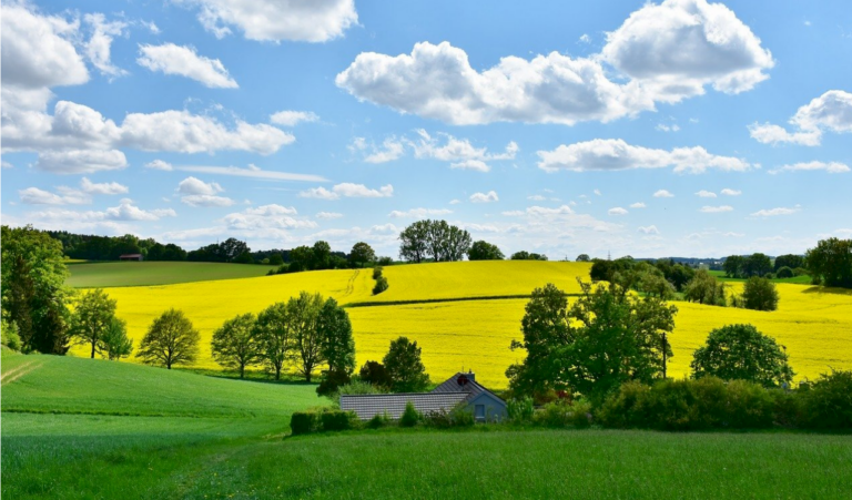 Wetzlars Bodenschutzkonzept vom Land ausgezeichnet