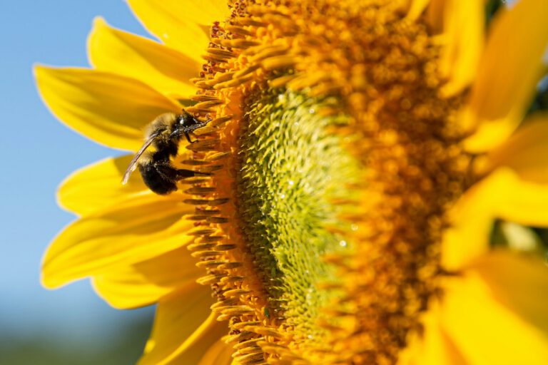 Danke für Euer Vertrauen!